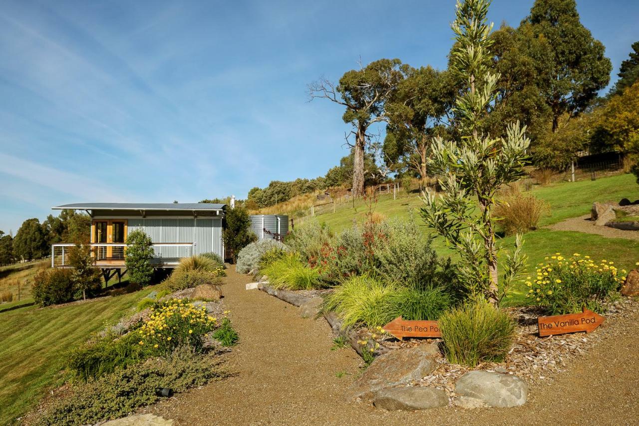 Bed and Breakfast Hobart Hideaway Pods Kingston Esterno foto